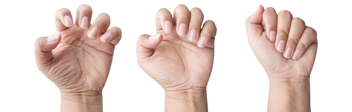 AdobeStock_372870779-scaled