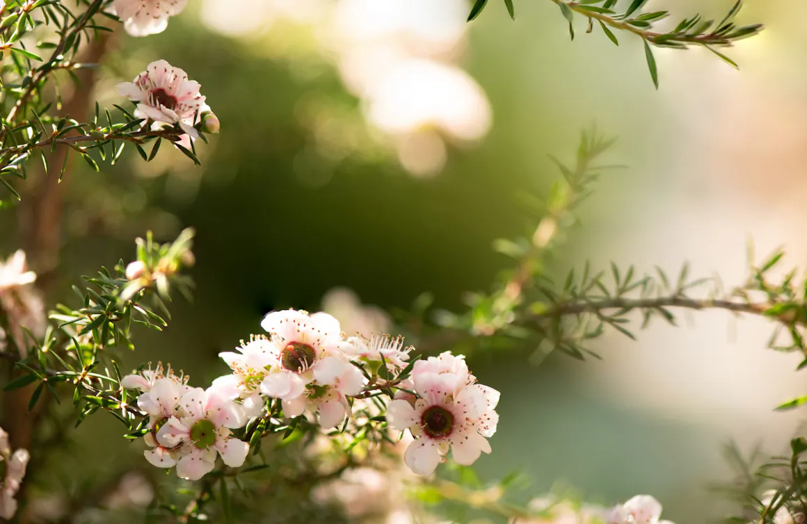 AdobeStock_573494078-scaled