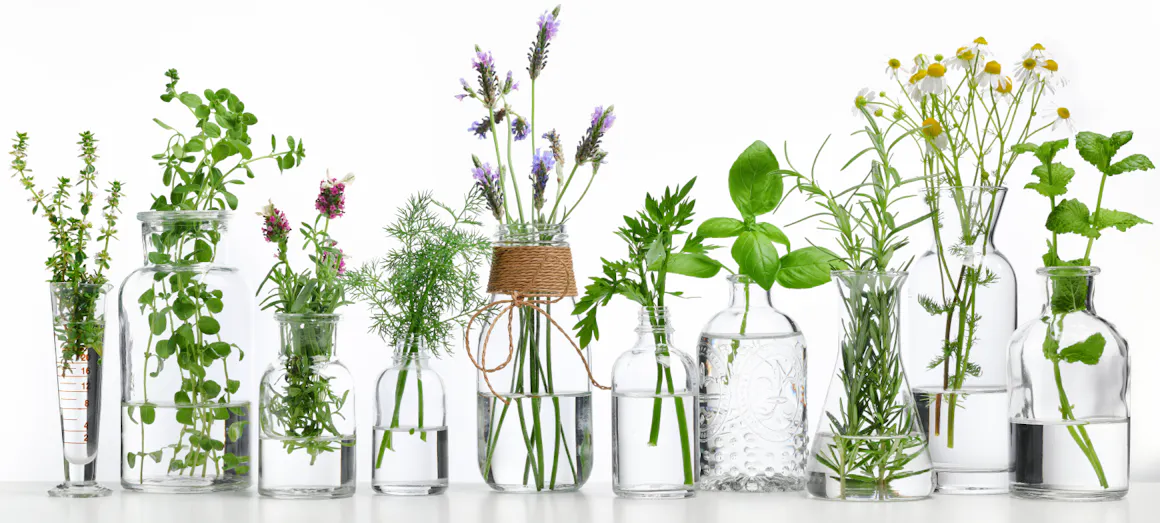 Αιθέρια-Ελαια-01