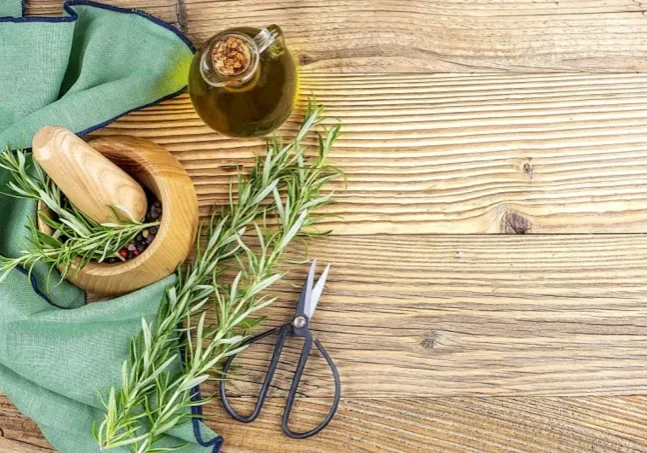 Δεντρολιβανο